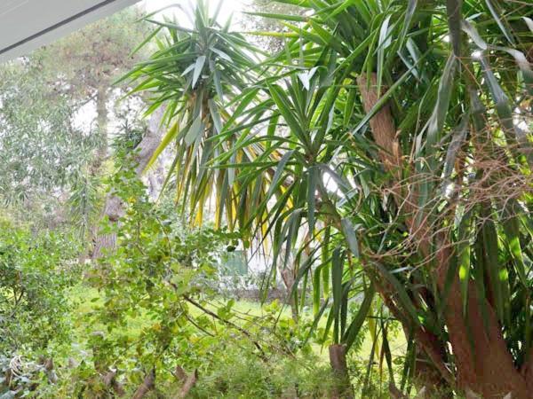 Vouliagmeni'S Secret Garden Near The Sea Apartment Athens Luaran gambar