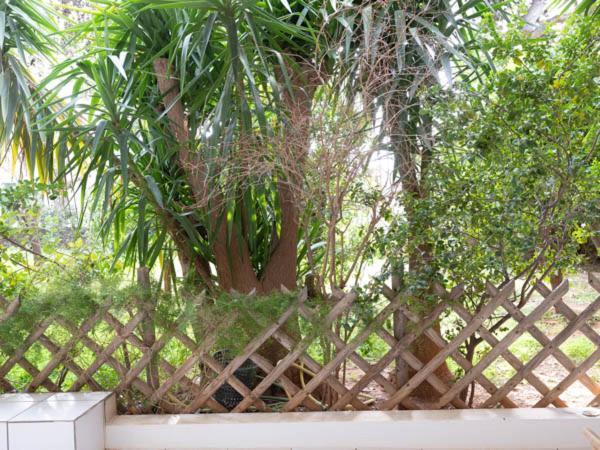 Vouliagmeni'S Secret Garden Near The Sea Apartment Athens Luaran gambar